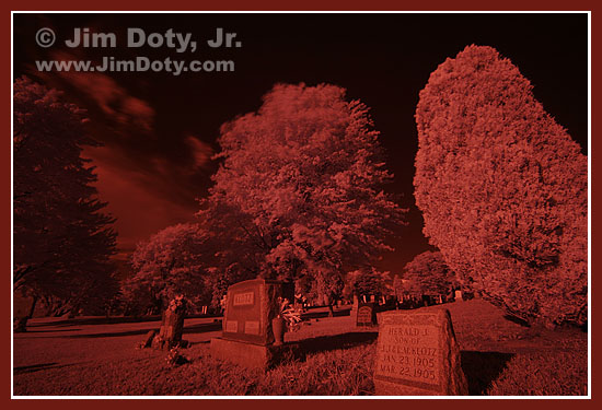 Original infrared image to be combined with a matching color image